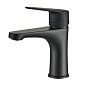 Смеситель для раковины латунный одноручковый чёрный NOVA Wesnaart