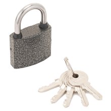 Замок навесной АЛЛЮР ВС1Ч-330 5 кл. d5 мм. полимерный