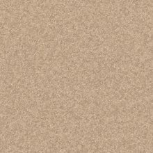 Линолеум IVC МУЗЫКА МАРС 634 (17,50M x2,5M/43,75м2)