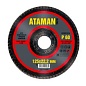 Круг шлифовальный торцевой лепестковый  Р60  125х22 мм. конус (ATAMAN)
